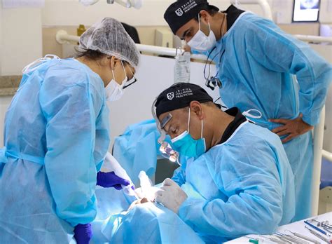 trinon implant course